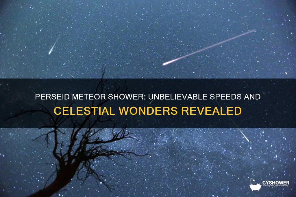 how fast does the perseid meteor shower travel