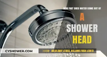 Shower Head Flow Rate: How Fast Does Water Come Out?