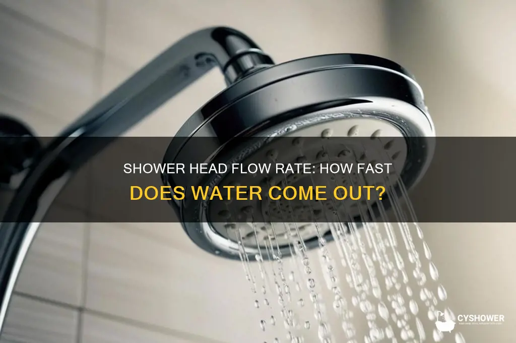 how fast does water come out of a shower head