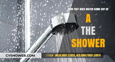 Shower Water Flow Speed: How Fast Does It Really Come Out?