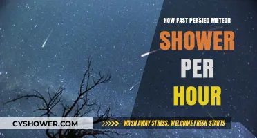 Perseid Meteor Shower: Hourly Speed and Viewing Tips