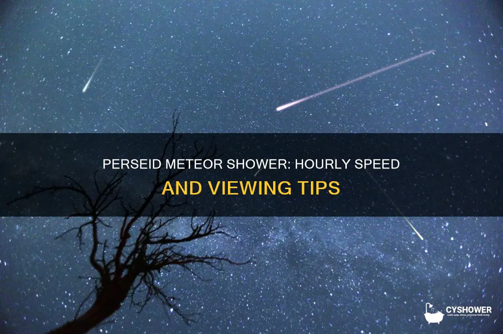 how fast persied meteor shower per hour