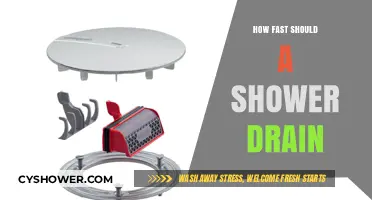 Optimal Shower Drain Speed: What's Normal and How to Fix Slow Drains