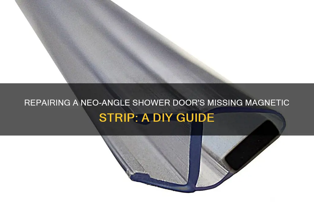 how fix framed neo-angle shower door that lost magnetic strip