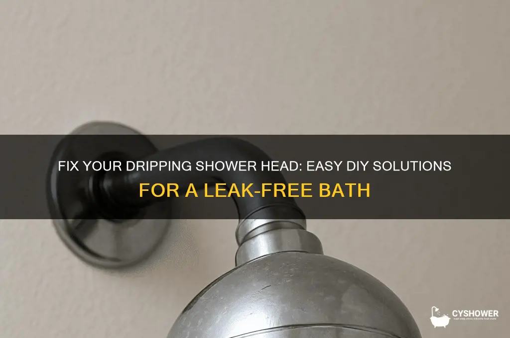 how gan ifix my dripping shower head