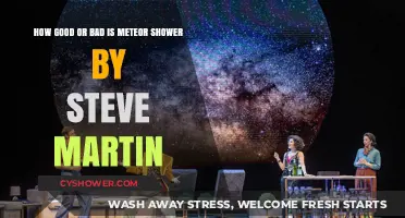 Meteor Shower by Steve Martin: A Hilarious Hit or Miss?