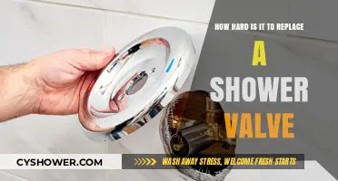 Replacing a Shower Valve: DIY Challenge or Professional Task?
