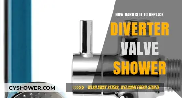 Replacing a Shower Diverter Valve: Is It a DIY Challenge?