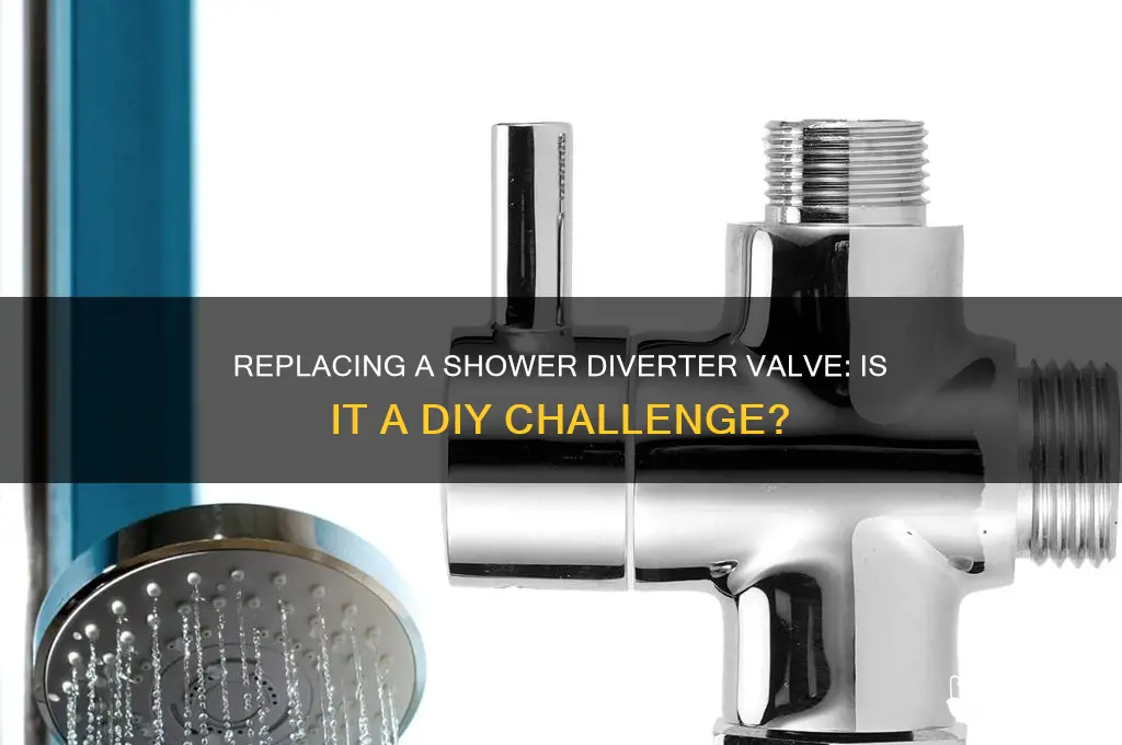 how hard is it to replace diverter valve shower