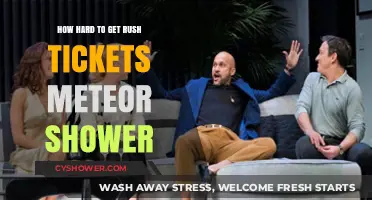 Scoring Rush Tickets for Meteor Shower: A Challenging but Rewarding Experience