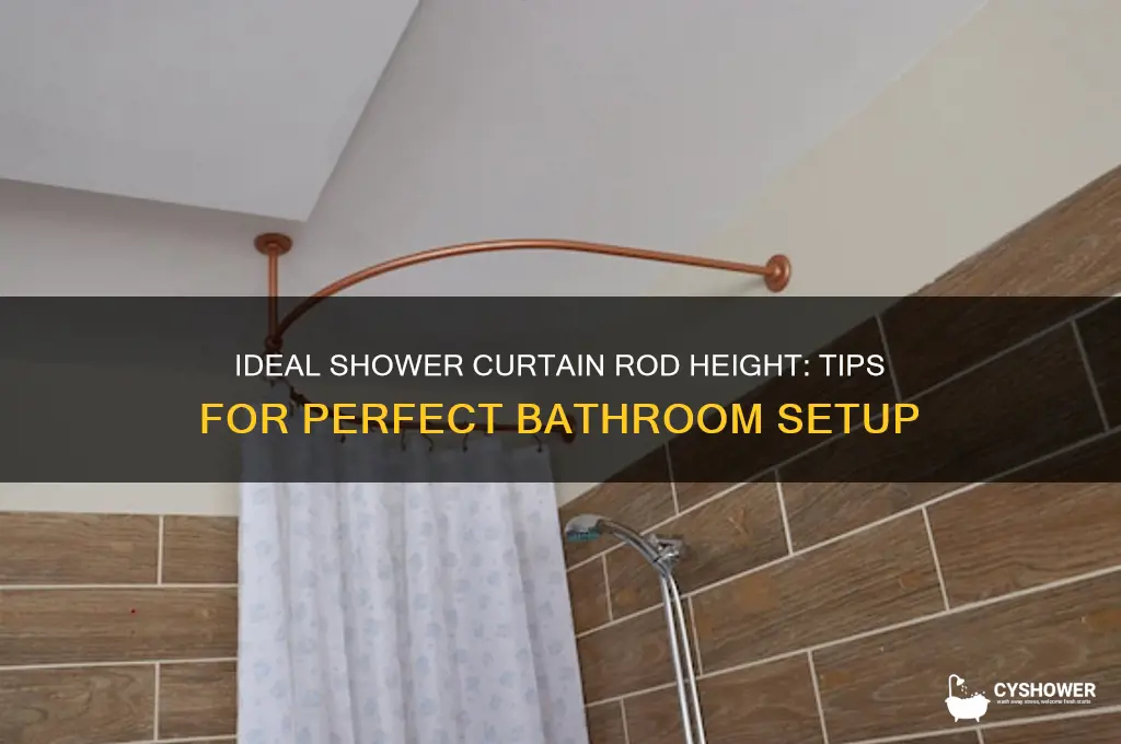 how hi shouod shower curtain rod be