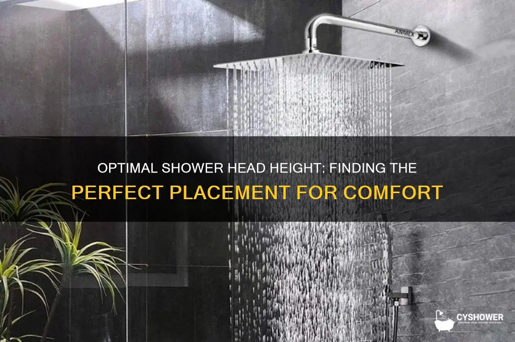 how high can a shower head be