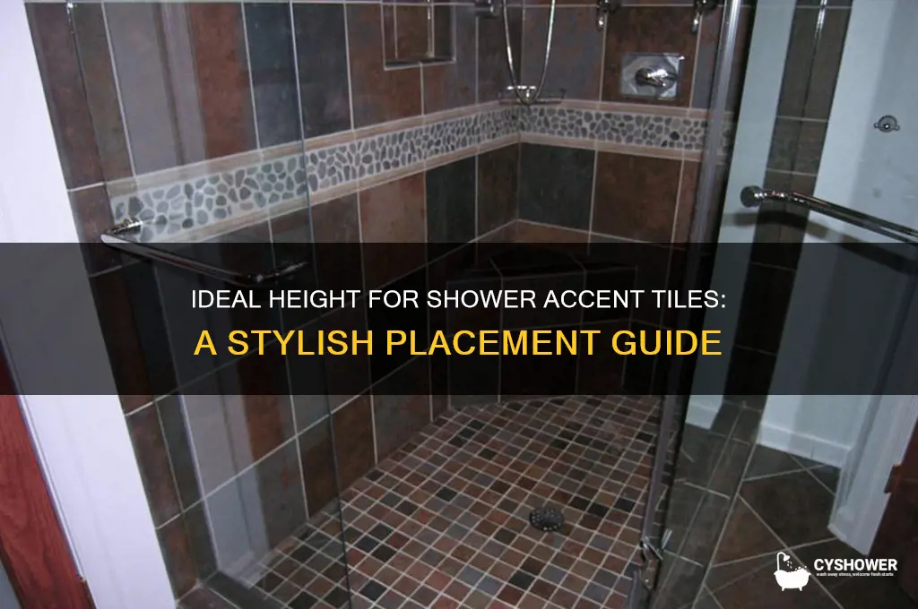 how high should a shower accent tile be