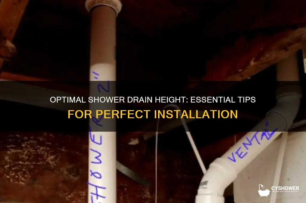 how high should a shower drain be
