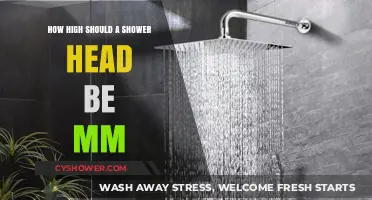 Optimal Shower Head Height: Finding the Perfect MM Placement