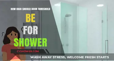Ideal Shower Door Threshold Height: Preventing Leaks and Ensuring Accessibility