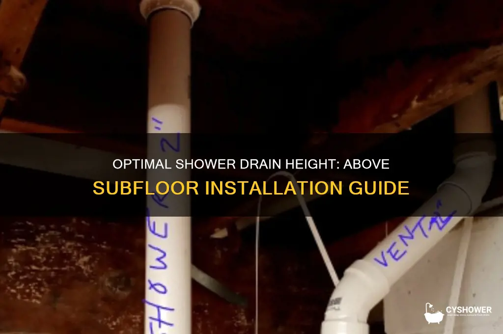 how high should shower drain be above subfloor