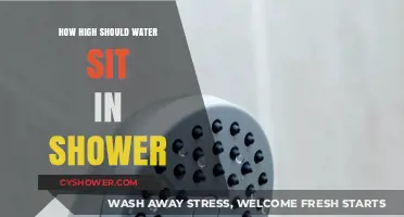 Optimal Water Level: How High Should Water Sit in Your Shower?