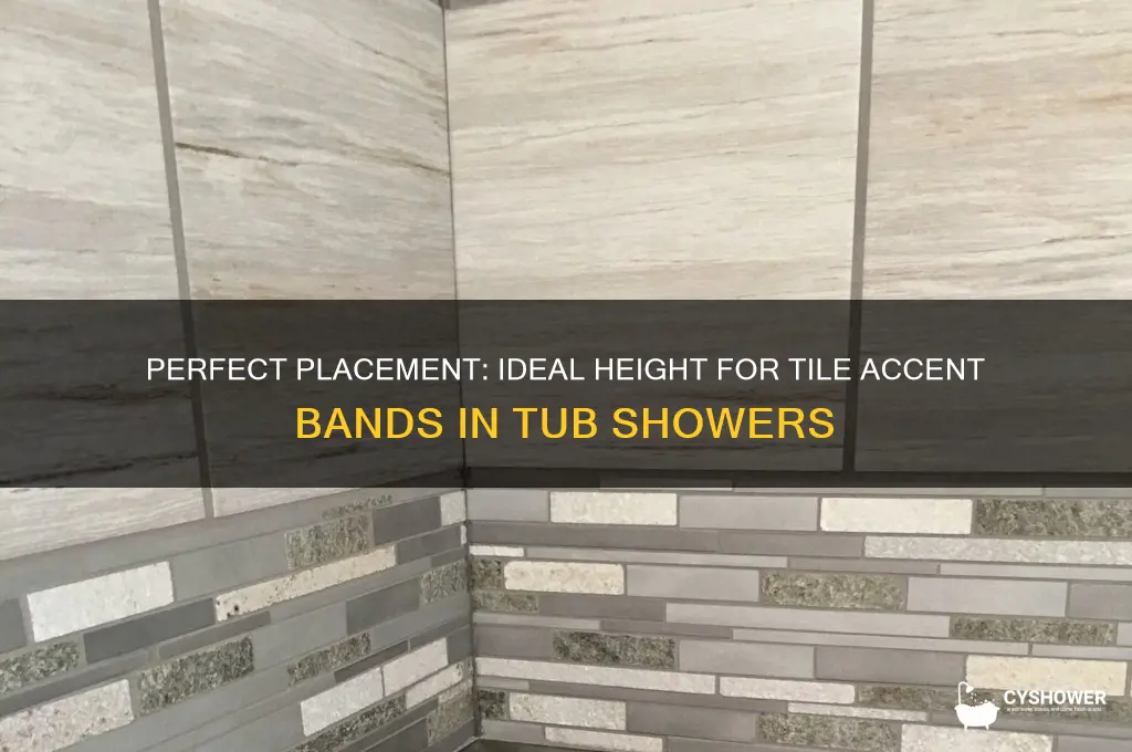 how high to place tile accent band in tub shower