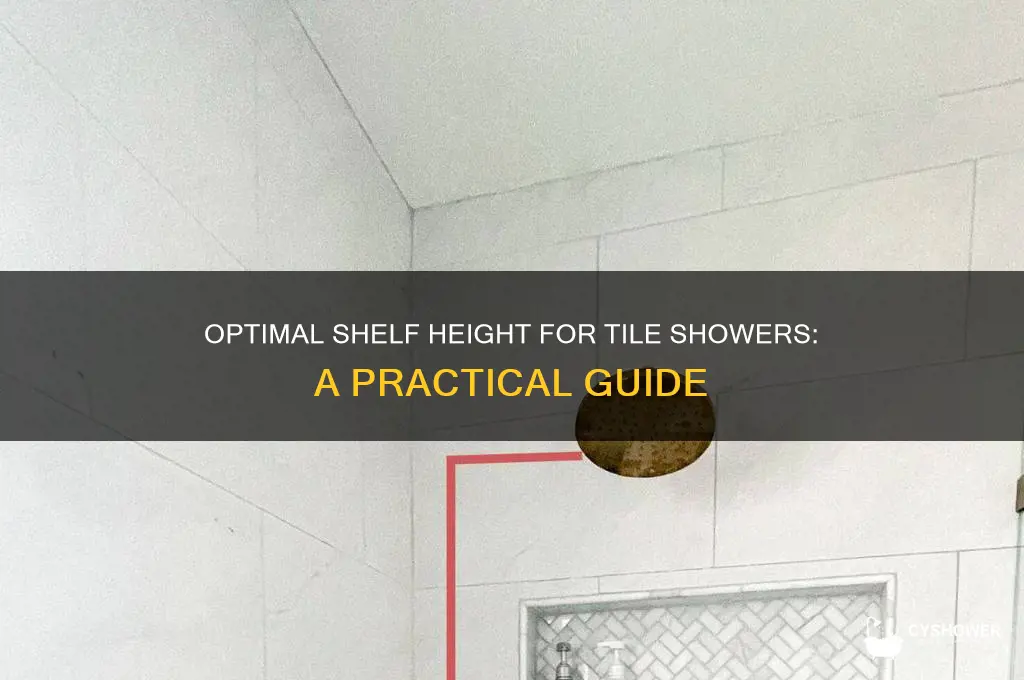 how high to put shelf in tile shower