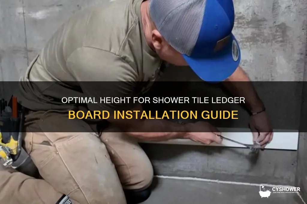 how high up tile ledger board in shower
