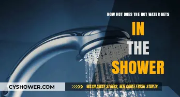 Shower Temperature Secrets: How Hot Can Your Water Get?