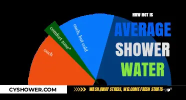 Ideal Shower Temperature: How Hot is the Average Shower Water?