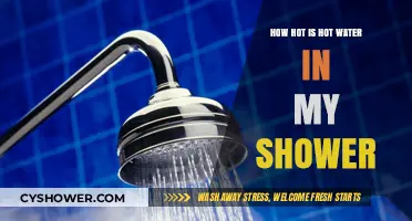 Shower Temperature Secrets: How Hot is Your Hot Water?