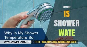 How Hot is Your Shower Water? Ideal Temperature Guide