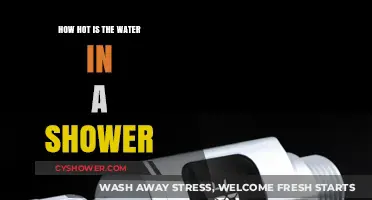 Shower Water Temperature: How Hot is Too Hot for Comfort?
