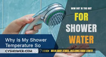 Shower Water Temperature: Finding the Safe and Comfortable Limit