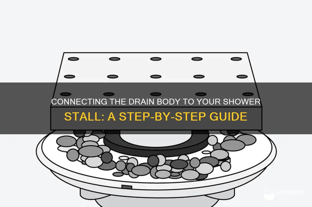 how is the drain body connected to shower stall