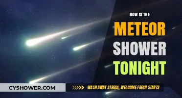 Tonight's Meteor Shower: A Celestial Spectacle to Watch for Wonders