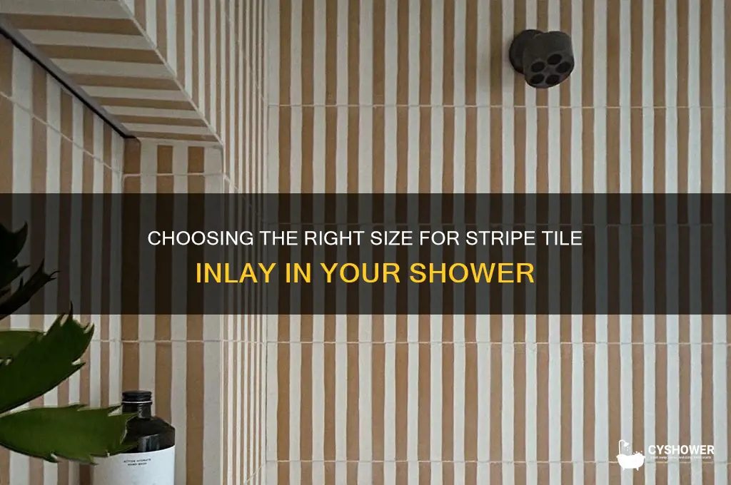 how large for stripe tile inlay in shower