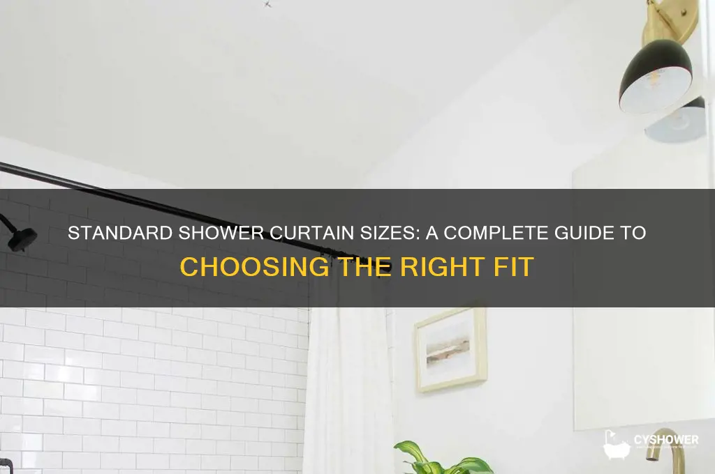 how large is a shower curtain
