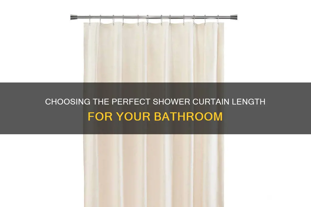 how long a shower curtain should be