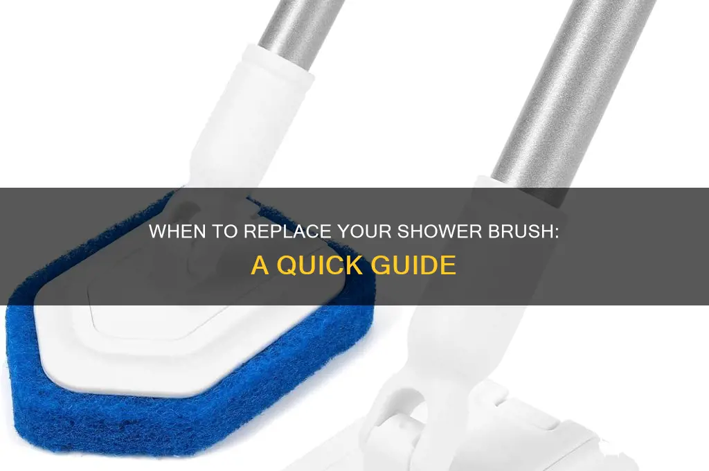 how long aam i supposed to replace shower brush