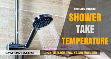 Post-Shower Temperature Check: Timing Tips for Accurate Readings