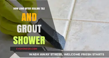 Sealing Tile and Grout Shower: Ideal Waiting Time After Application