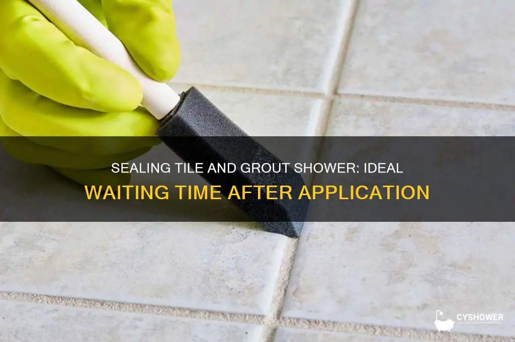 how long after sealing tile and grout shower