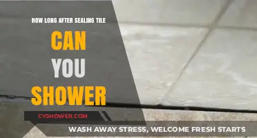 Shower Ready: When to Use Your Bathroom After Sealing Tile