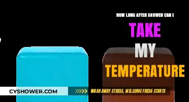 Post-Shower Temperature Accuracy: When to Take Your Reading