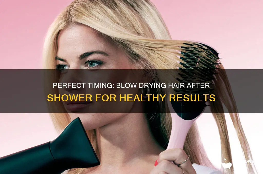 how long after shower to blow dry hair