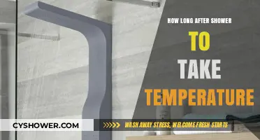 Post-Shower Temperature Check: Timing Tips for Accurate Readings