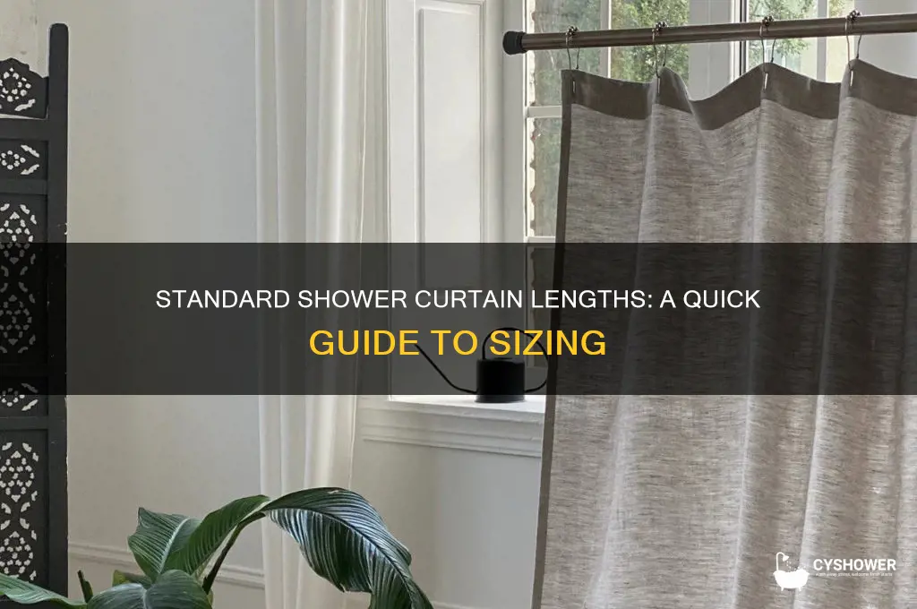 how long are average shower curtains