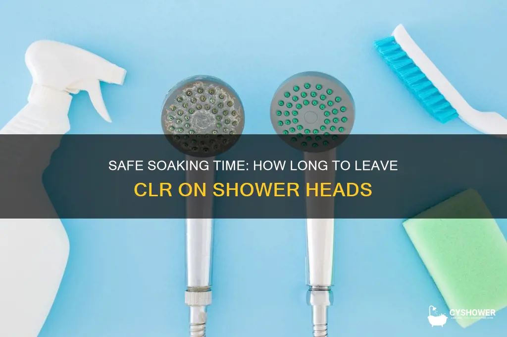how long can you leave clr on shower head