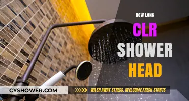How Long Does a CLR Shower Head Last? Maintenance Tips