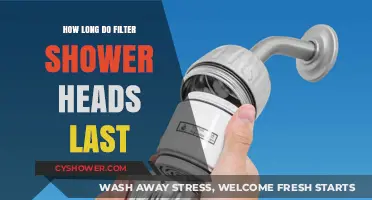 Shower Filter Lifespan: How Long Do Filter Shower Heads Last?