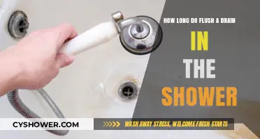 Effective Shower Drain Flushing: Optimal Time and Techniques Revealed