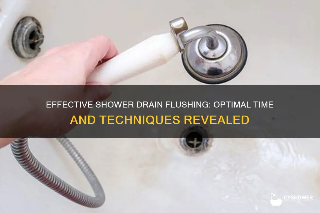 how long do flush a drain in the shower